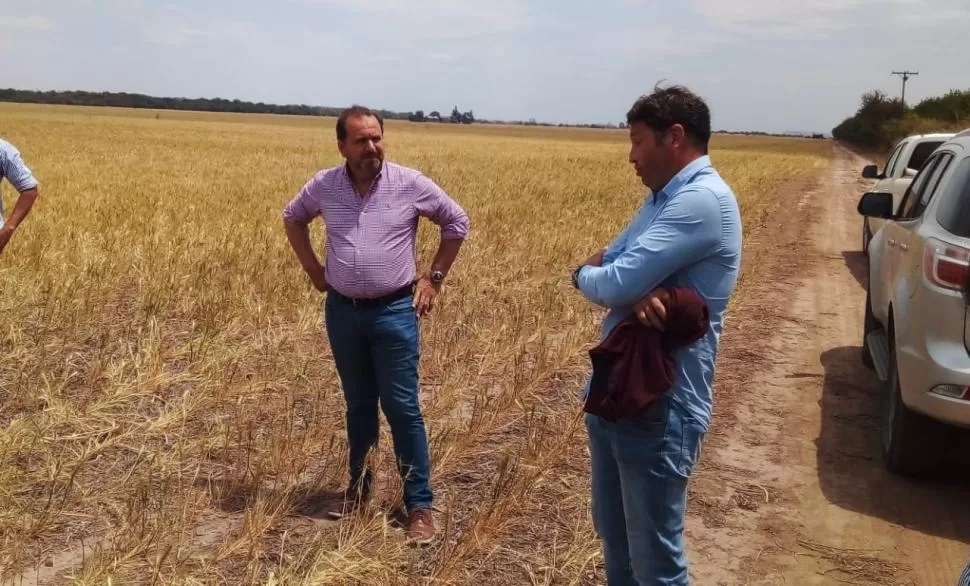 ENCUENTRO. El secretario de Agricultura de la Nación, Jorge Solmi, escuchó inquietudes del sector productivo de granos de Tucumán en Burruyacu.  