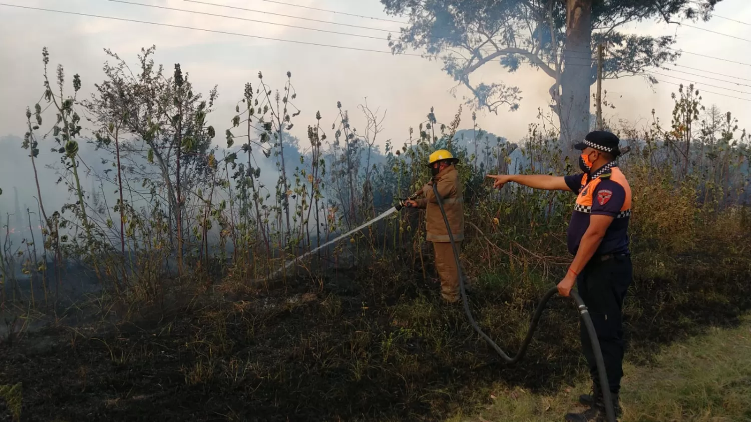 Fotos y videos: así combaten el fuego en distintos puntos de la provincia