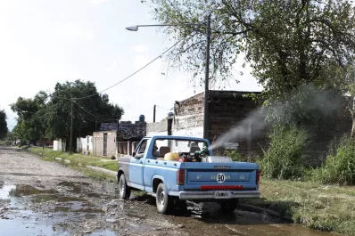 ¿Por qué hay una invasión de mosquitos en Tucumán?