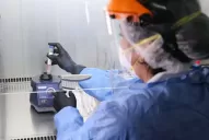 Una mujer de 77 falleció por coronavirus en Tucumán y se reportaron 85 nuevos casos