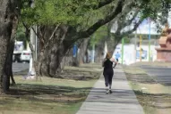 Tomar mucha agua, consumir alimentos frescos y otros consejos para evitar un golpe de calor