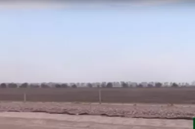 Cómo afectaron los incendios al sistema productivo en la zona de Piedrabuena