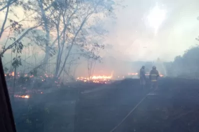 Se vino abajo en pocos segundos todo el laburo de años, dijo un productor tras los incendios