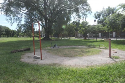 Árbol notable: distinguen una tipa blanca