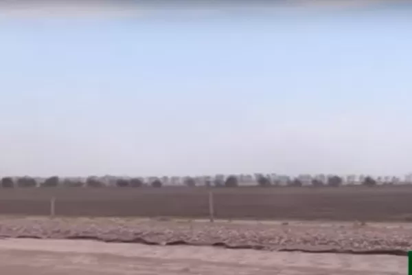 Cómo afectaron los incendios al sistema productivo en la zona de Piedrabuena