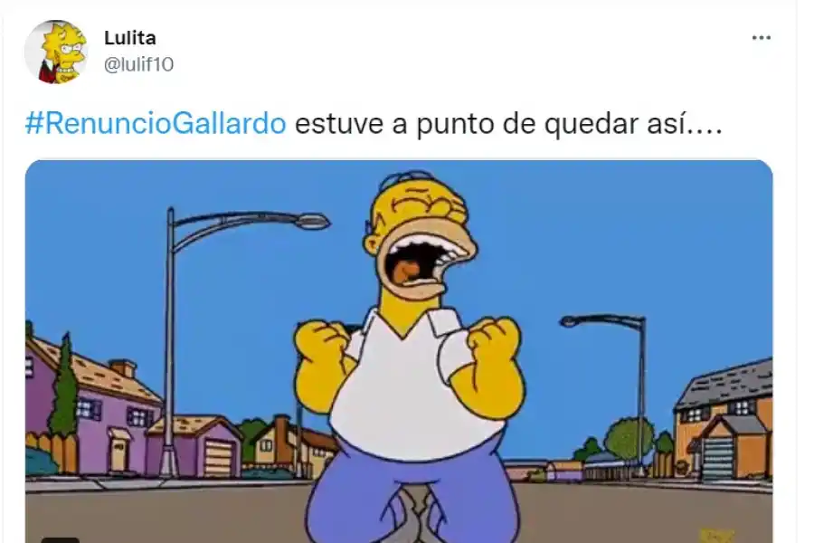 #RenuncióGallardo: la insólita tendencia que desató una ola de memes en las redes sociales