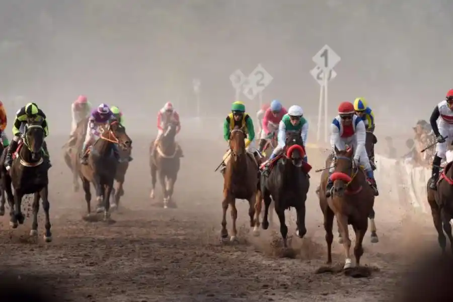 PURA ADRENALINA. Los mejores caballos de la región competirán el domingo 28 de noviembre en el hipódromo local, donde la competencia central será el Gran Premio “Batalla de Tucumán”. LA GACETA / FOTO DE DIEGO ÁRAOZ