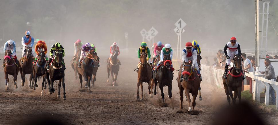 PURA ADRENALINA. Los mejores caballos de la región competirán el domingo 28 de noviembre en el hipódromo local, donde la competencia central será el Gran Premio “Batalla de Tucumán”. LA GACETA / FOTO DE DIEGO ÁRAOZ