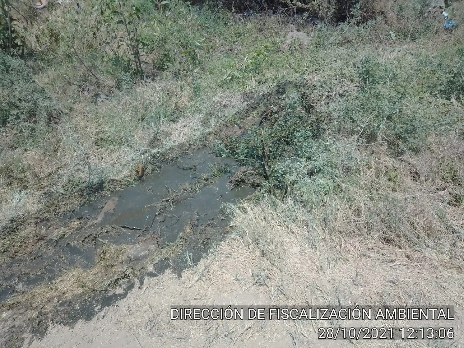 PRENSA Y COMUNICACIÓN PÚBLICA