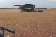 Calculan que se superarán los 40 qq/ha de trigo