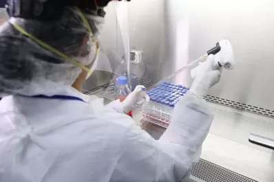 Coronavirus: Tucumán registró tres muertes y 456 contagios este sábado