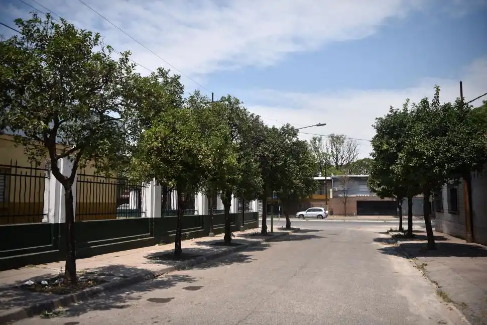 NARANJOS. Estos naranjos están en el pasaje Grimau Gálvez. Para preservarlos se los declaró grupalmente. Están muy sanos, bellos, con copas verdes. 