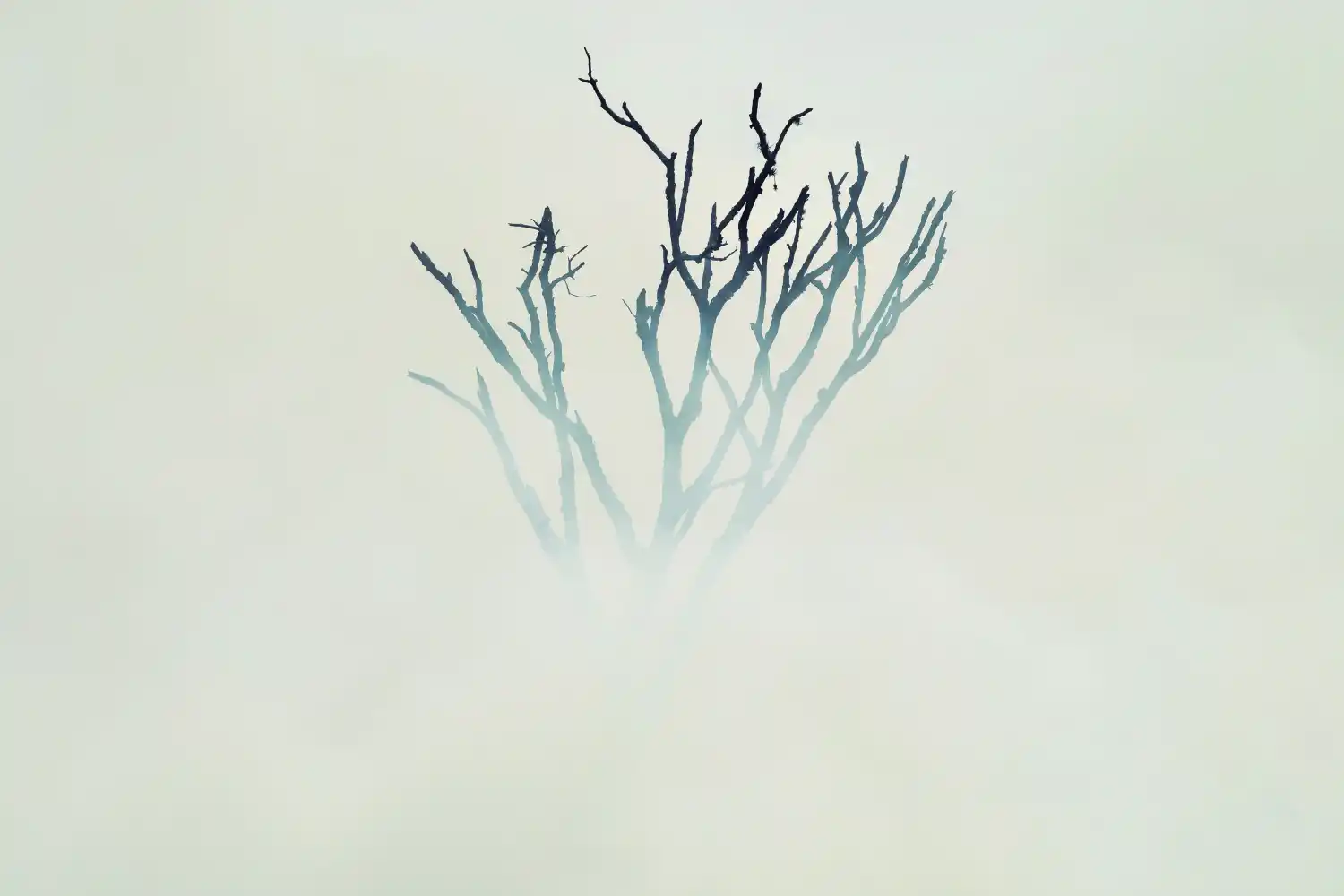 EN ALDERETES. Quema de pastizales durante la cosecha de caña de azúcar en la ciudad de Alderetes. Foto de Inés Quinteros Orio