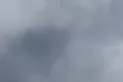 Filman una nube de hormigas voladoras en Yerba Buena