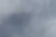 Filman una nube de hormigas voladoras en Yerba Buena