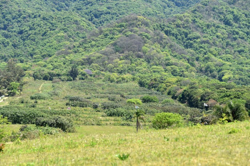 LA MADRE DE TODAS LAS UNIDADES AMBIENTALES. El pedemonte tucumano, fundamental para la calidad ambiental de las zonas urbanas situadas debajo. LA GACETA/INES QUINTEROS ORIO