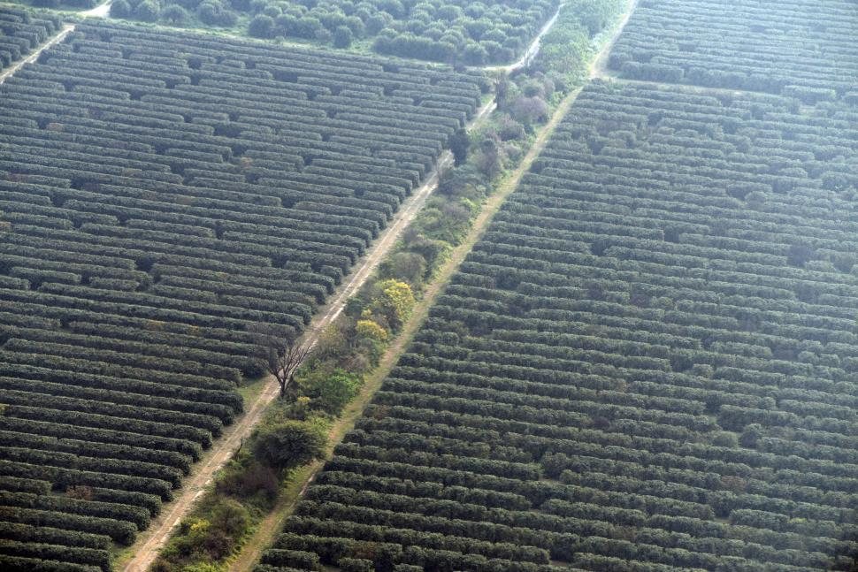 SIN AGUA. En Tucumán predominan valores de lluvias bajos, lo que evidencia la sequía de la época. LA GACETA/DIEGO ARAOZ