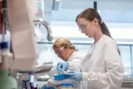 Identifican un gen que duplica el riesgo de morir por Covid-19