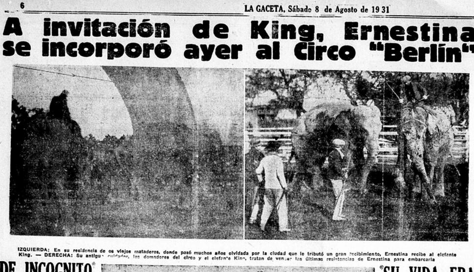 Una historia de amor trágica: Ernestina, la elefanta que terminó sus días en La Plata
