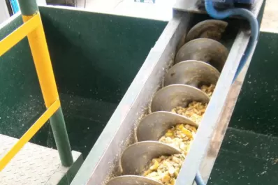 Estudios de la Eeaoc sobre la producción de pectina a partir de la cáscara húmeda