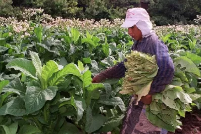 Gestionan la Caja Verde: se concretará el pago de $ 100 millones