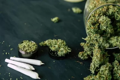 Seis preguntas para conocer a los candidatos