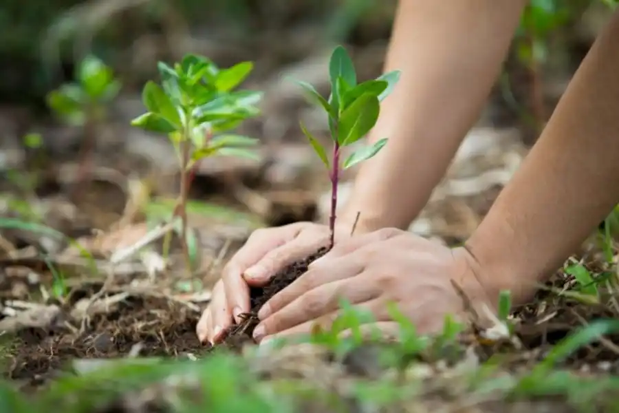 Seis preguntas para conocer a los candidatos