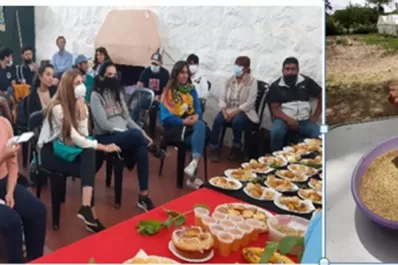 Plantas de quinoa: Lanzan un proyecto en Amaicha