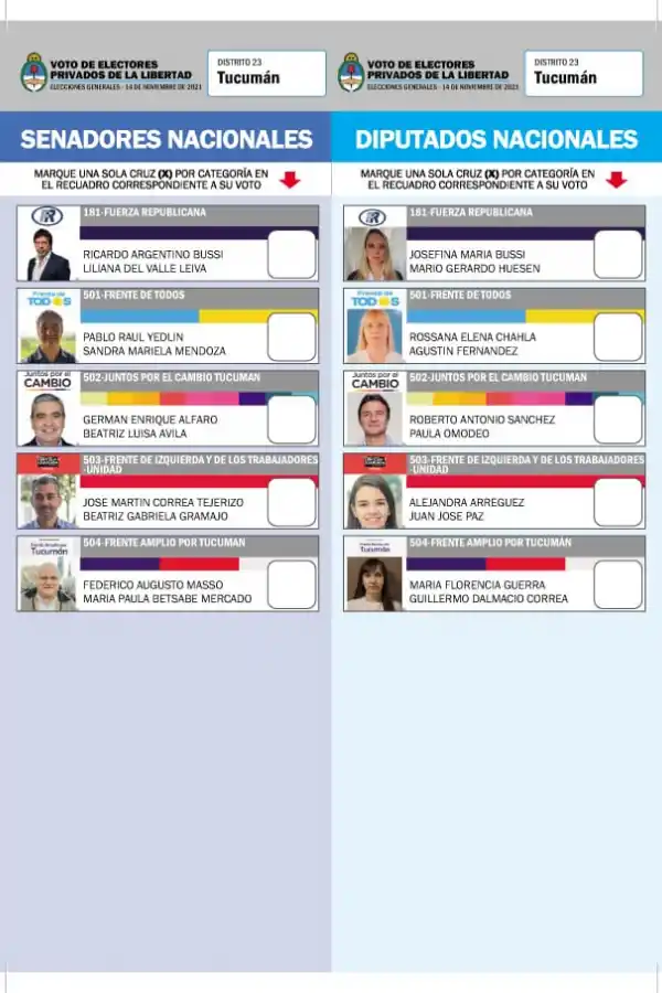 ASÍ SE VE UNA BOLETA AL QUE ACCEDIERON LOS TUCUMANOS RESIDENTES EN EL EXTERIOR. 
