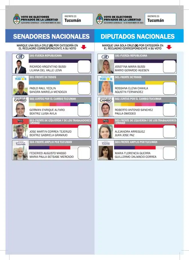 ASÍ SE VE UNA BOLETA AL QUE ACCEDIERON LOS TUCUMANOS RESIDENTES EN EL EXTERIOR. 
