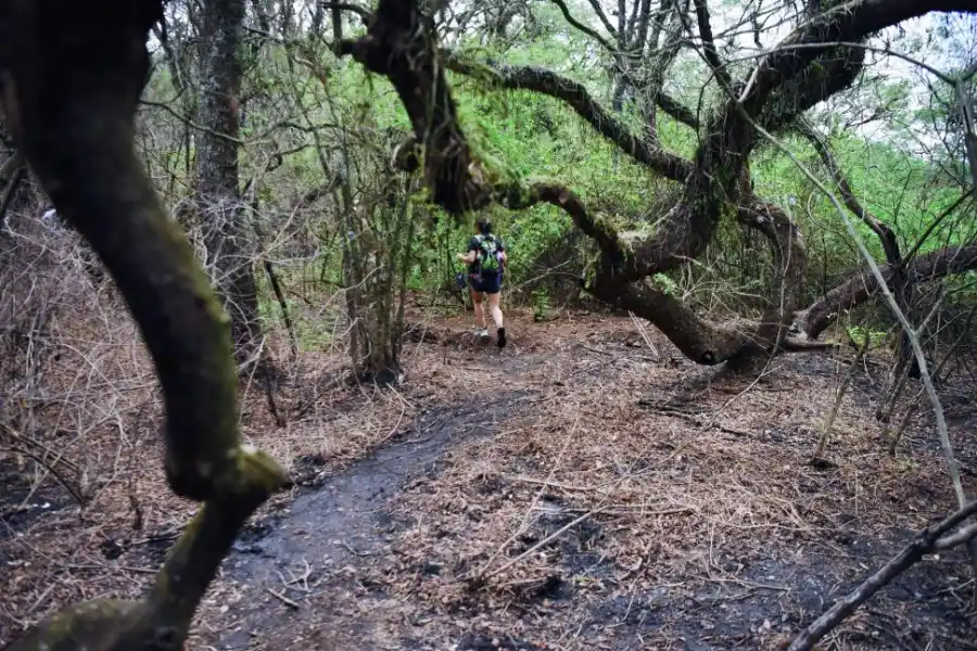 POR SENDEROS. Con todo a cuesta, los voluntarios subieron el cerro.