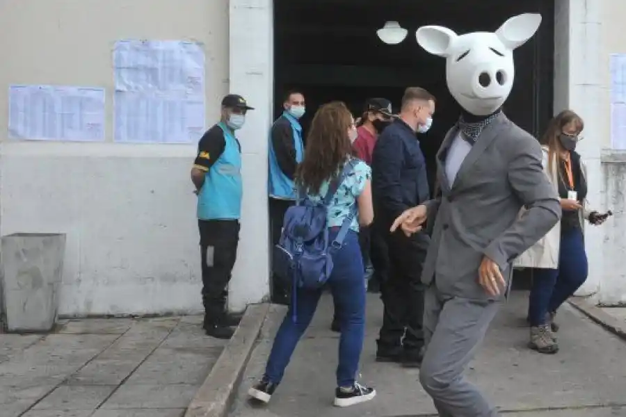 Disfraces extraños y boletas truchas: conocé todas las perlitas de estas elecciones