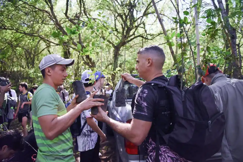 PARA TODOS. Cada voluntario pudo plantar, al menos, un ejemplar.  