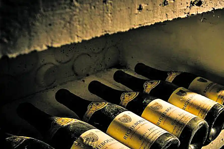 Cinco conceptos básicos para empezar a entender el mundo del vino