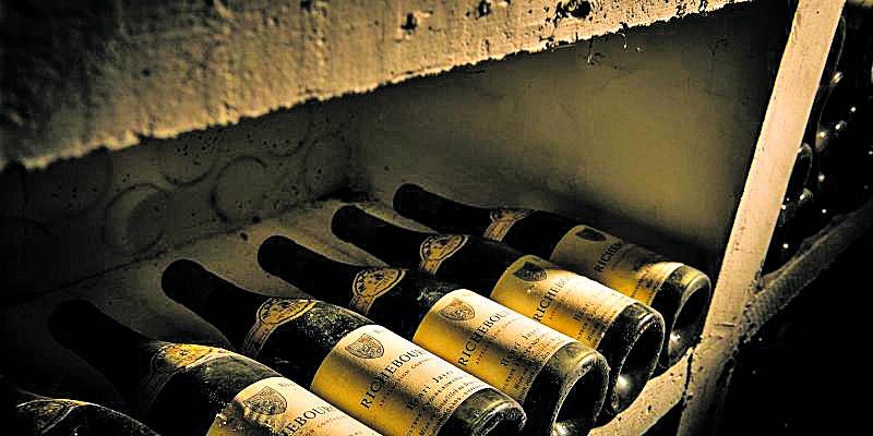Cinco conceptos básicos para empezar a entender el mundo del vino