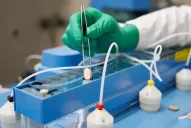 Pfizer entregará licencias para su pastilla anticovid 