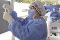 Coronavirus en Argentina: confirmaron 29 muertes y 1.755 nuevos contagios