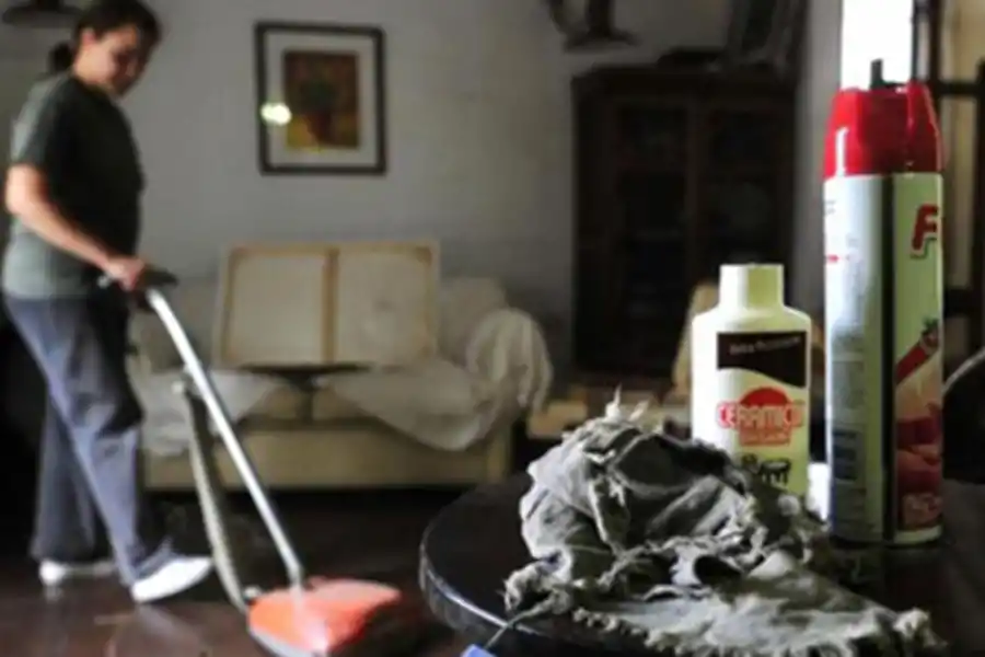 MEJORA SALARIAL. Se conoció la nueva suba de los sueldos para las empleadas domésticas.