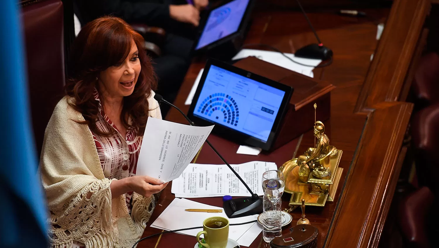 SIN QUÓRUM PROPIO. A partir de diciembre, Cristina Fernández deberá negociar con otras fuerzas para la aprobación de proyectos en el Senado. 