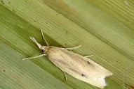 El paso a paso para un buen monitoreo