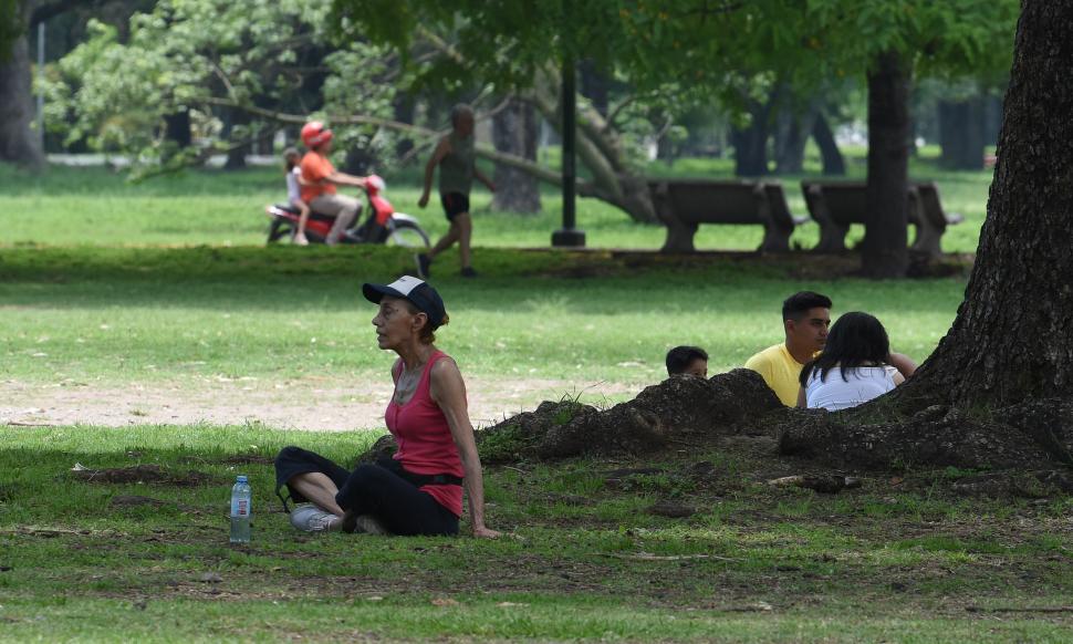 HIDRATADOS. Los árboles del parque dieron cobijo en un día caluroso