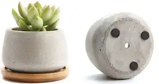 DRENAJE. Asegurate que las macetas puedan eliminar el exceso de agua.