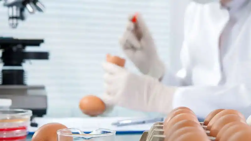 Salta, en alerta por un brote de Salmonella: qué es, cómo se contagia y cuáles son las medidas de prevención