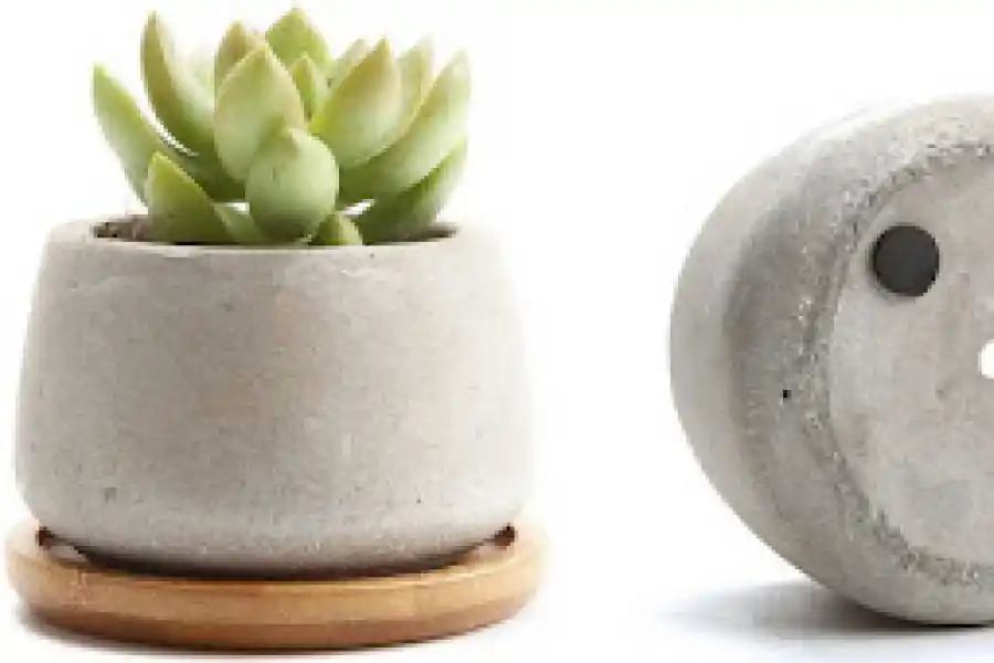 DRENAJE. Asegurate que las macetas puedan eliminar el exceso de agua.