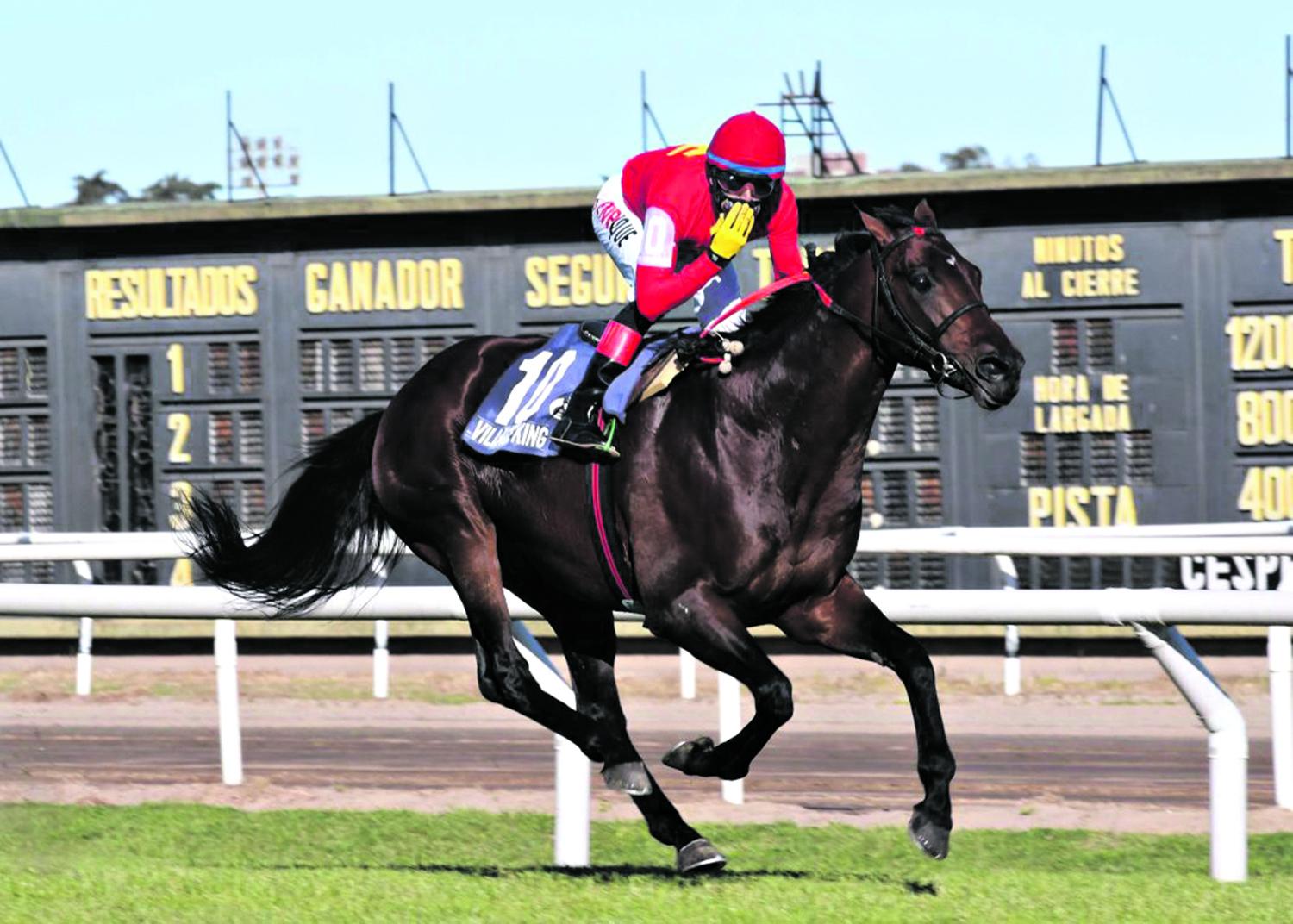 NOTABLE PRESENTE. Brian Enrique, uno de los mejores jockeys del momento en nuestro país, será el encargado de montar a Teenek en el Gran Premio.