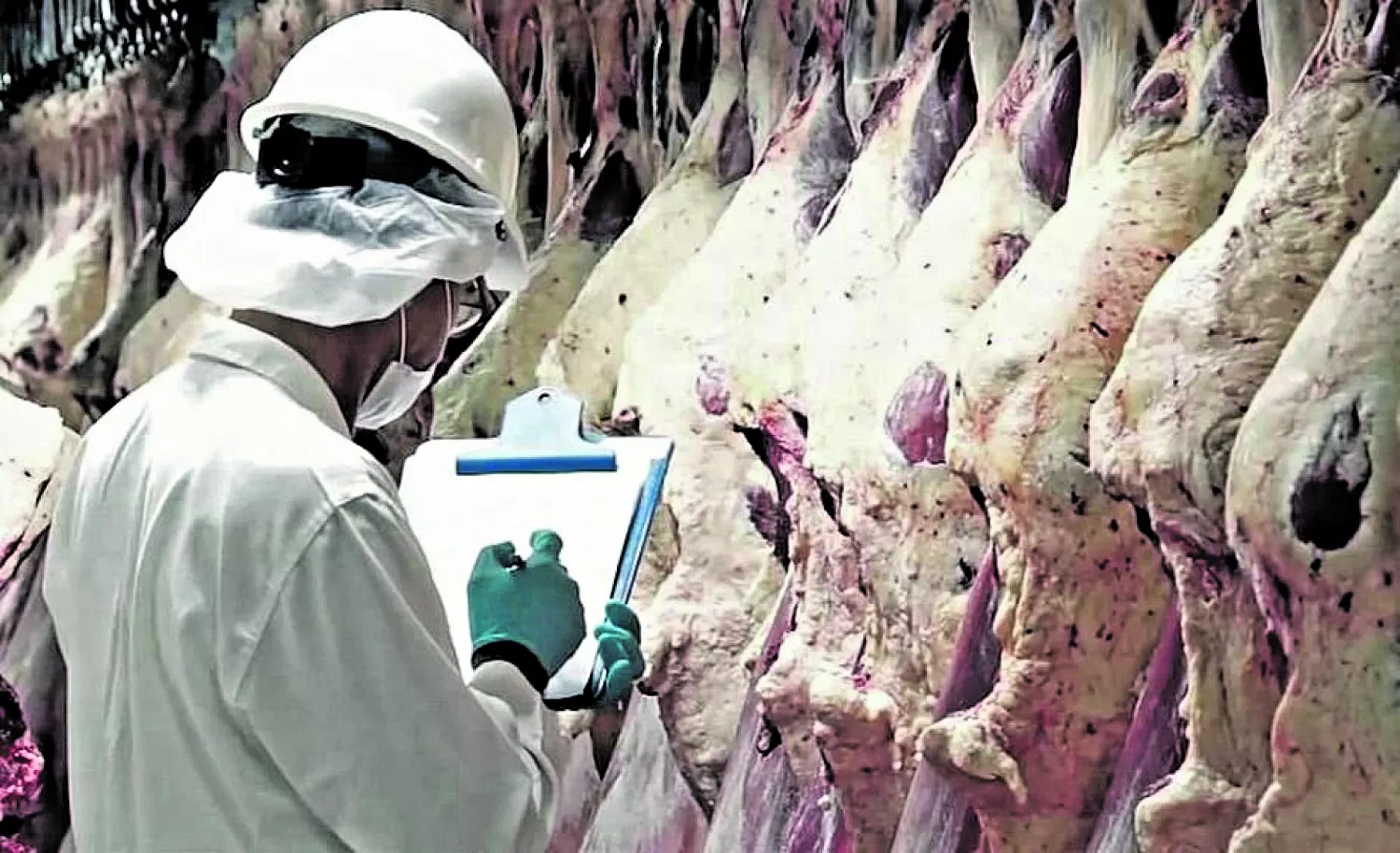 Entidades rurales creen que cesará el cepo a la exportación de carnes