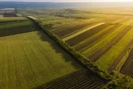 Alianza en beneficio de la agricultura