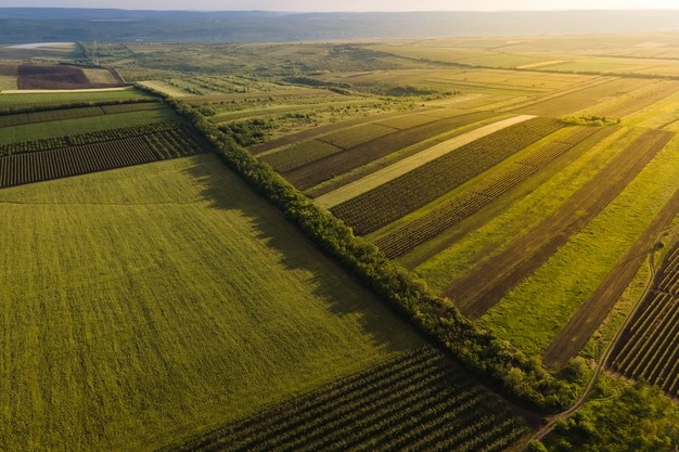 HERRAMIENTA. Climate FieldView, de Bayer, se usa en más de 72 millones de ha agrícolas y en más de 20 países.  