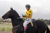 En busca de la gloria