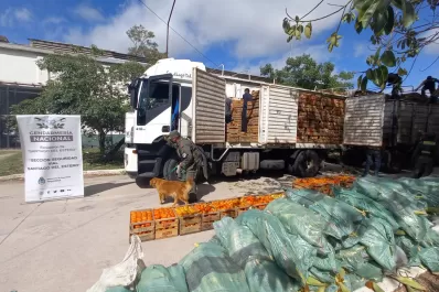 Un camión de verduras transportaba 15 kilos de cocaína, en Santiago del Estero
